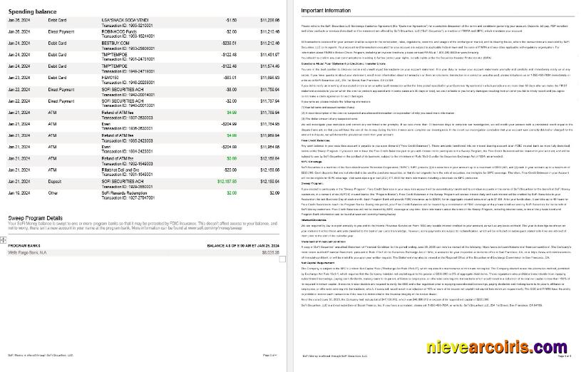 USA Sofi bank statement, 4 pages 2